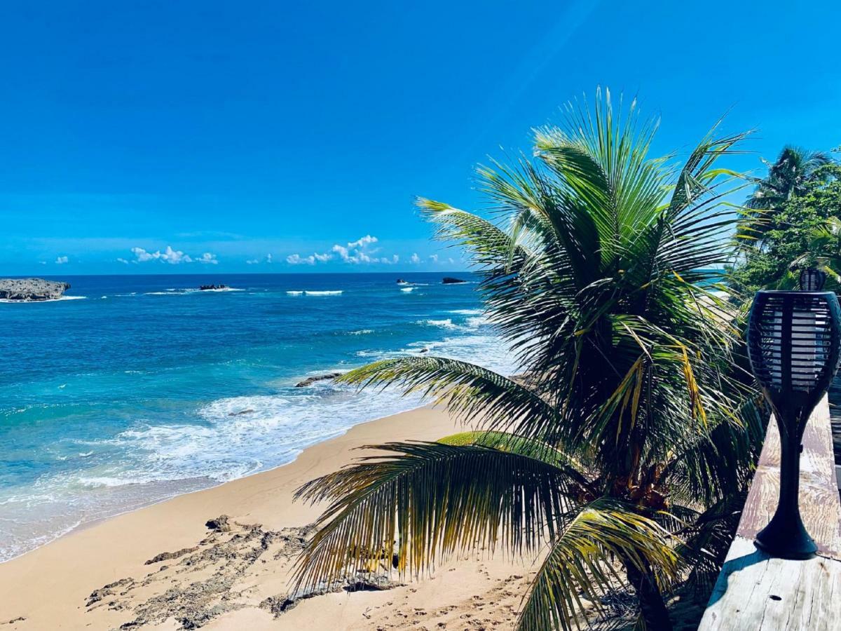 Ventana Al Atlantico At Arecibo 681 Ocean Drive Apartment Islote Bagian luar foto